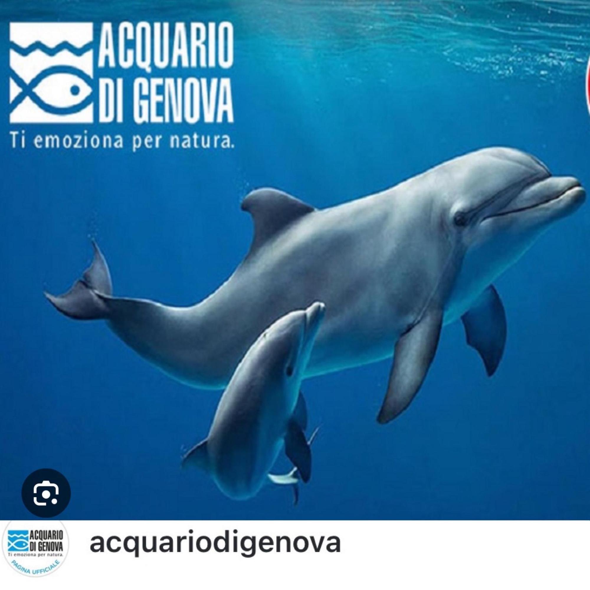 Casa Mia Sea&Center Villa Bogliasco Eksteriør billede